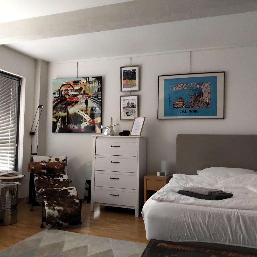 Grosszuegiges Zimmer Mit Badezimmer In Rheinwohnung Kolín nad Rýnem Exteriér fotografie